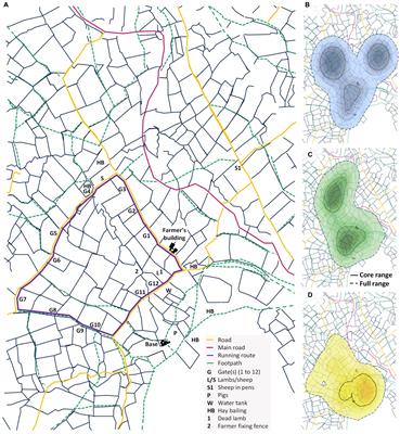 Where did my dog go? A pilot study exploring the movement ecology of farm dogs